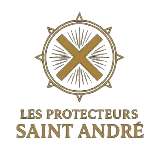 logo fond transparent